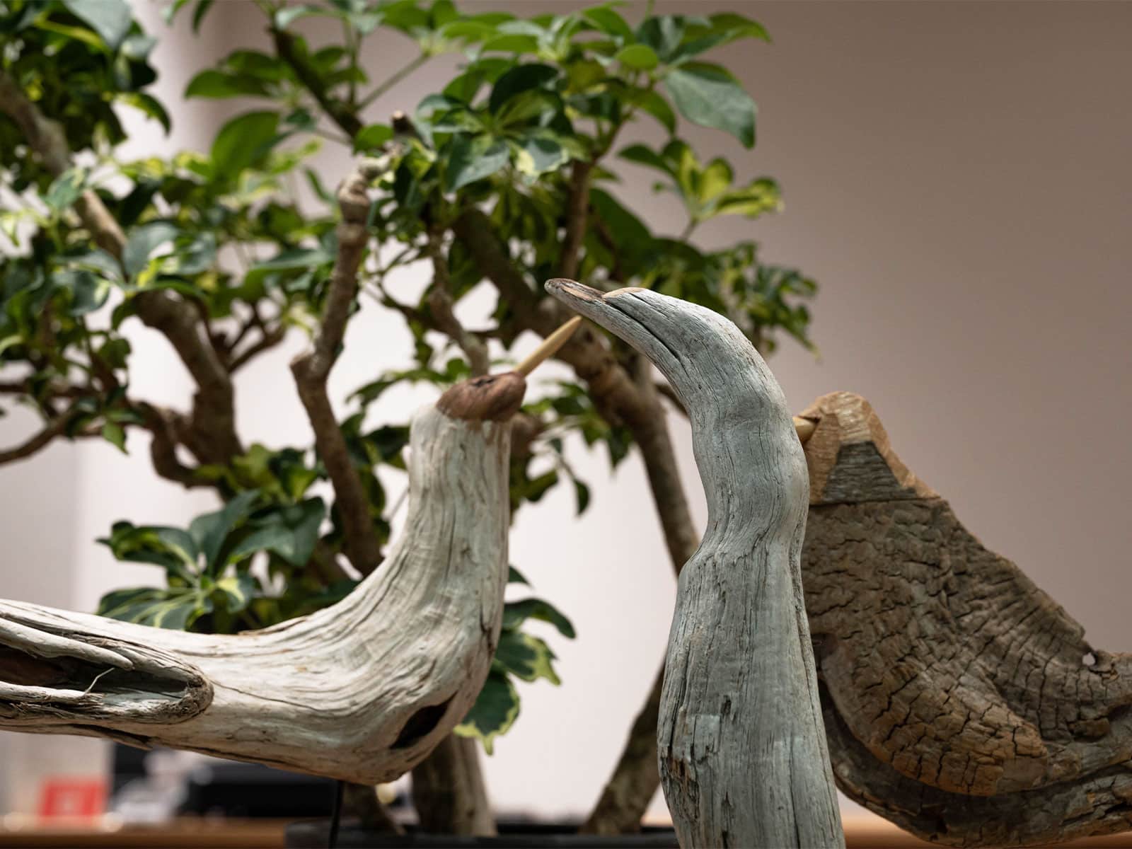 中日ビル店 店舗 写真5